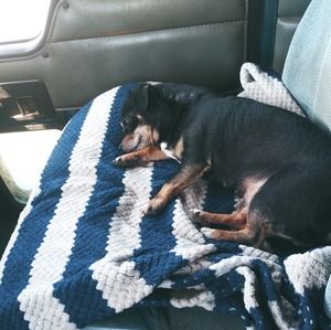 Meet your Posher, Glenn